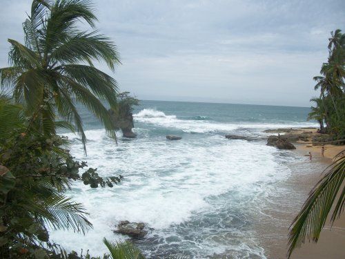 Manzanillo Cahuita (9)