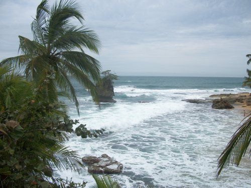 Manzanillo Cahuita (10)